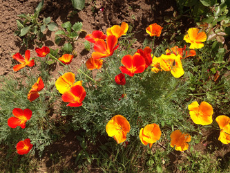 Similar image 21967253