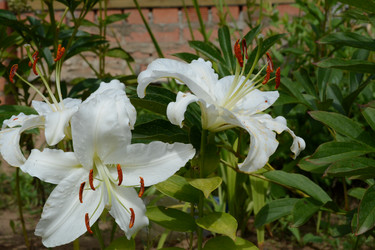 Similar image 21967256