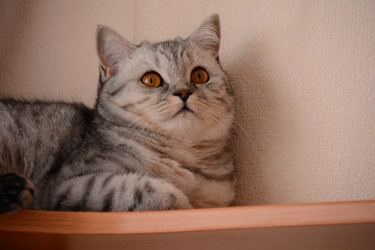 Similar image 21967257