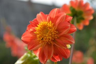 Similar image 21967258