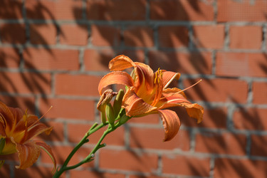 Similar image 21967259