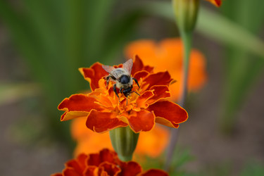 Similar image 21967262