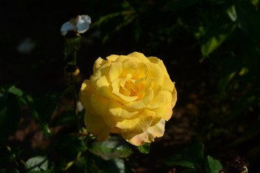 Similar image 21967264