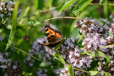 Similar image 21967265