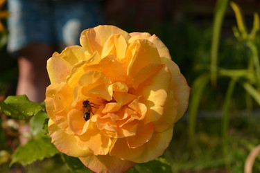 Similar image 21967268