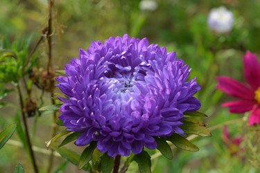 Similar image 21967269