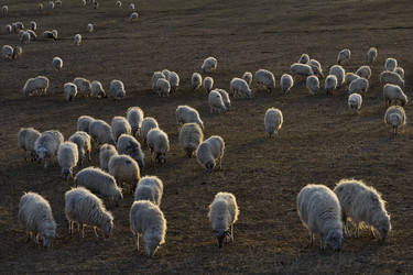 Similar image 21969392