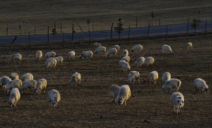 Similar image 21969394