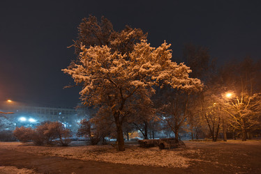 Similar image 21969401