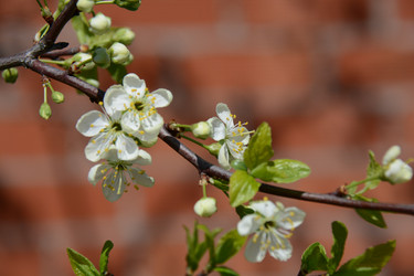 Similar image 21968357