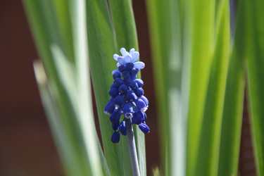 Similar image 21968359