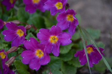 Similar image 21968360