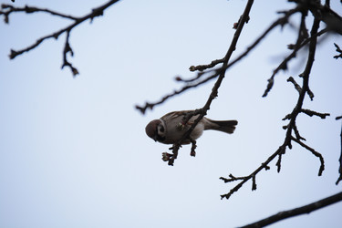 Similar image 21968361