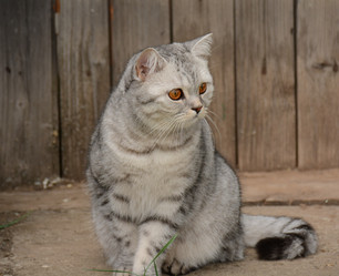 Similar image 21968371