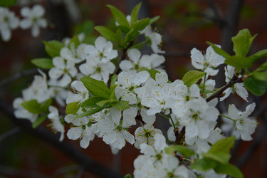 Similar image 21968372