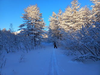 Similar image 21969310