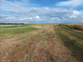 Similar image 21968376