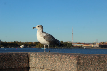 Similar image 21970773