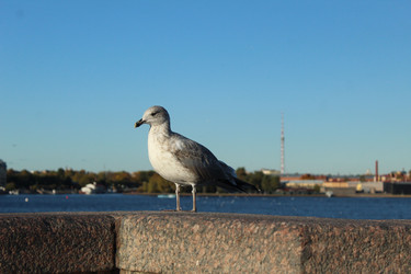 Similar image 21970774