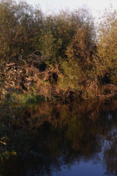 Similar image 21968616