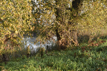 Similar image 21968618