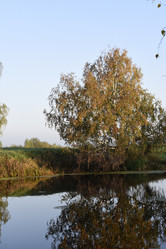 Similar image 21968619