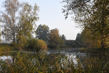 Similar image 21968620