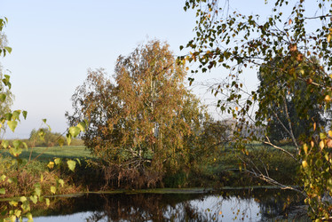 Similar image 21968621