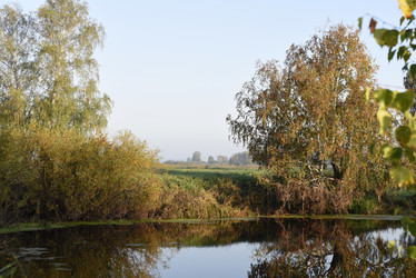 Similar image 21968622