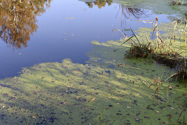 Similar image 21968627