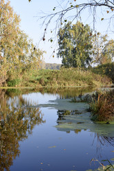 Similar image 21968628