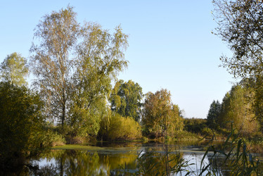 Similar image 21968629