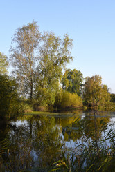 Similar image 21968630