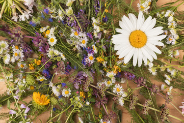 Similar image 21971656