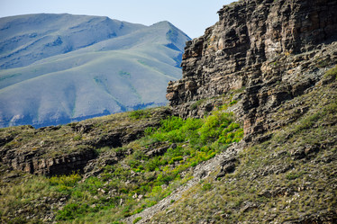 Similar image 21968384