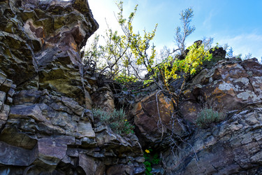 Similar image 21968385