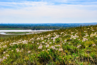 Similar image 21968388