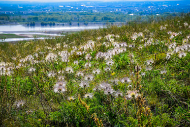 Similar image 21968389