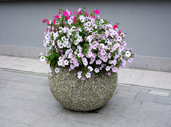 Similar image 21969793