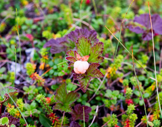 Similar image 21969795