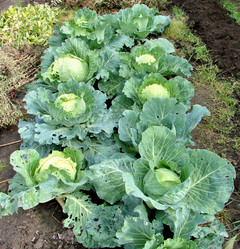 Similar image 21968400