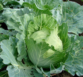 Similar image 21968401