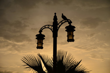 Similar image 21968458