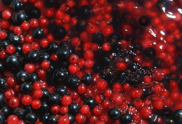 Similar image 21969410