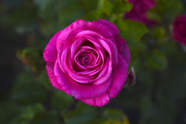 Similar image 21969560