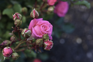 Similar image 21969561