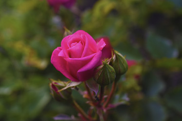 Similar image 21969562