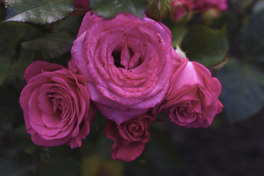 Similar image 21969563