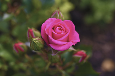 Similar image 21969565