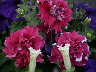 Similar image 21970784